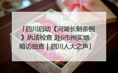 四川启动《河湖长制条例》执法检查 赴6市州实地暗访抽查｜四川人大之声