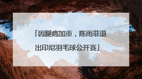 因腿痛加重，陈雨菲退出印尼羽毛球公开赛