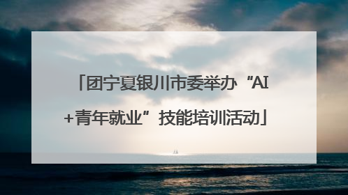 团宁夏银川市委举办“AI+青年就业”技能培训活动