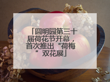 圆明园第三十届荷花节开幕，首次推出“荷梅”双花展
