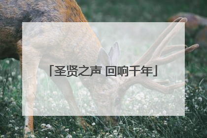 圣贤之声 回响千年