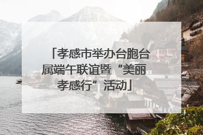 孝感市举办台胞台属端午联谊暨“美丽孝感行”活动
