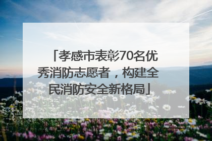 孝感市表彰70名优秀消防志愿者，构建全民消防安全新格局
