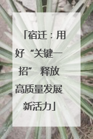 宿迁：用好“关键一招” 释放高质量发展新活力