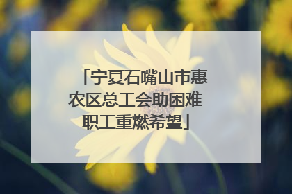 宁夏石嘴山市惠农区总工会助困难职工重燃希望