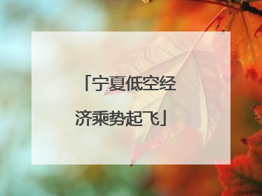 宁夏低空经济乘势起飞