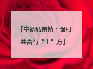 宁德城南镇：强村共富有“土”方