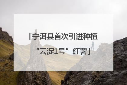 宁洱县首次引进种植“云淀1号”红薯