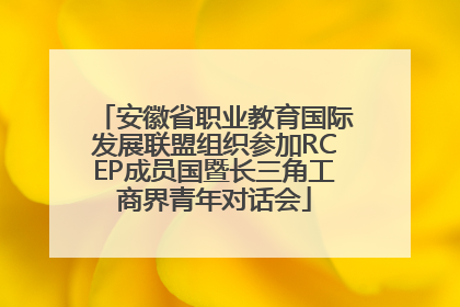 安徽省职业教育国际发展联盟组织参加RCEP成员国暨长三角工商界青年对话会