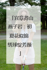 宜章莽山燕子岩：初夏花似锦 绣球绽芳颜