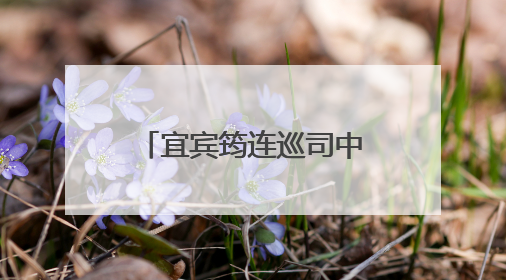 宜宾筠连巡司中心校开展“法治·健康·励志”教育进校园活动