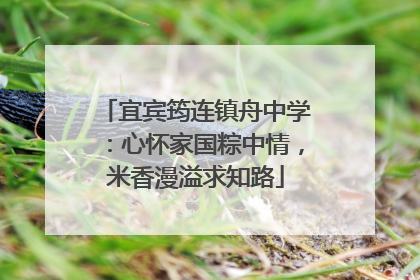 宜宾筠连镇舟中学：心怀家国粽中情，米香漫溢求知路