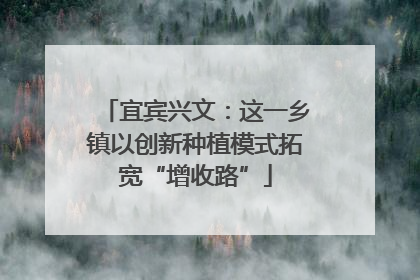 宜宾兴文：这一乡镇以创新种植模式拓宽“增收路”