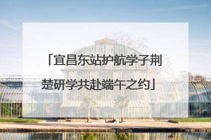 宜昌东站护航学子荆楚研学共赴端午之约