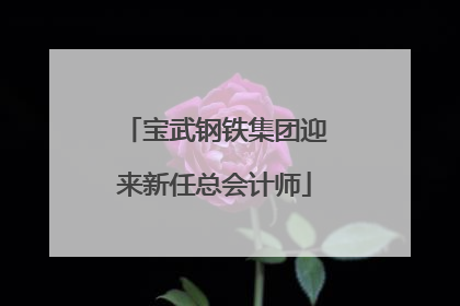 宝武钢铁集团迎来新任总会计师