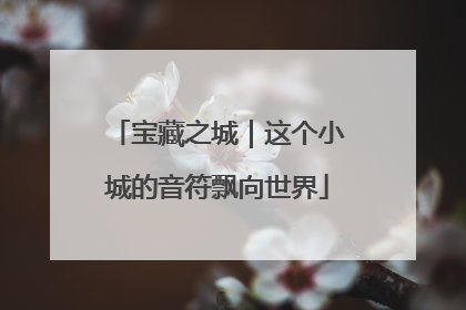 宝藏之城｜这个小城的音符飘向世界