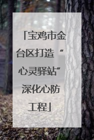 宝鸡市金台区打造“心灵驿站” 深化心防工程