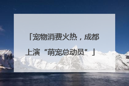 宠物消费火热，成都上演“萌宠总动员”
