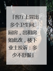 客厅上冒出多个卫生间、厨房，出租房如此改，楼下业主投诉：多少不舒服