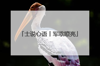 士说心语丨军歌嘹亮