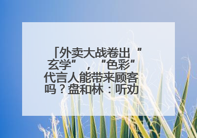 外卖大战卷出“玄学”，“色彩”代言人能带来顾客吗？盘和林：听劝的企业是好企业