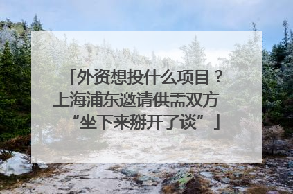 外资想投什么项目？上海浦东邀请供需双方“坐下来掰开了谈”