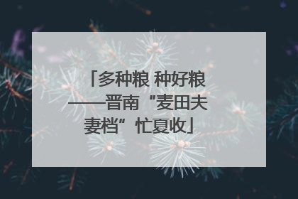 多种粮 种好粮——晋南“麦田夫妻档”忙夏收