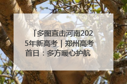 多图直击河南2025年新高考｜郑州高考首日：多方暖心护航 助力学子逐梦