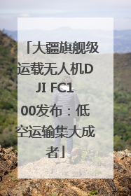 大疆旗舰级运载无人机DJI FC100发布：低空运输集大成者