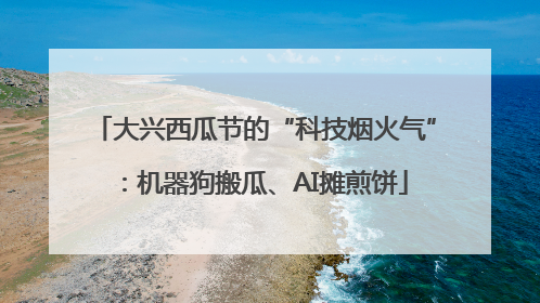 大兴西瓜节的“科技烟火气”：机器狗搬瓜、AI摊煎饼