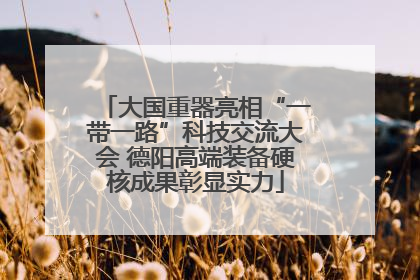 大国重器亮相“一带一路”科技交流大会 德阳高端装备硬核成果彰显实力