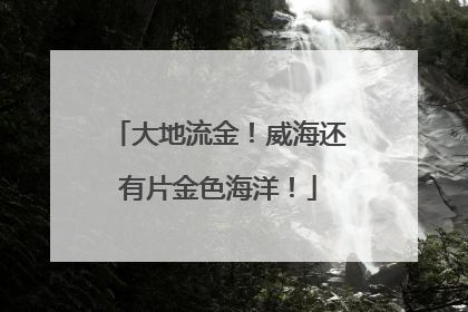 大地流金！威海还有片金色海洋！
