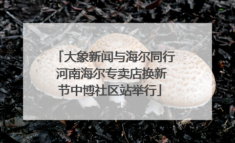 大象新闻与海尔同行 河南海尔专卖店换新节中博社区站举行