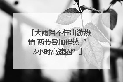 大雨挡不住出游热情 两节叠加催热“3小时高速圈”