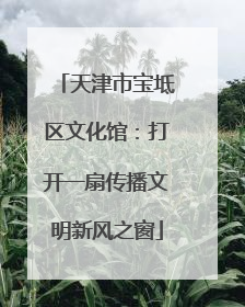 天津市宝坻区文化馆：打开一扇传播文明新风之窗