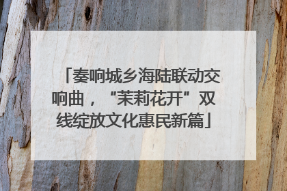 奏响城乡海陆联动交响曲，“茉莉花开”双线绽放文化惠民新篇