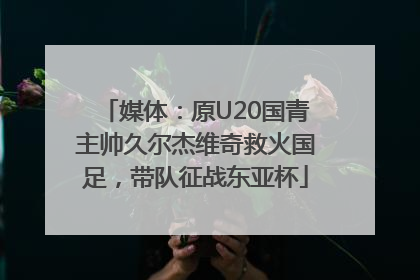 媒体：原U20国青主帅久尔杰维奇救火国足，带队征战东亚杯