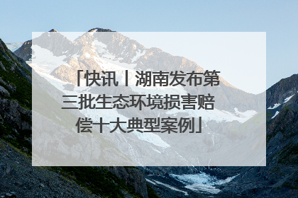 快讯丨湖南发布第三批生态环境损害赔偿十大典型案例