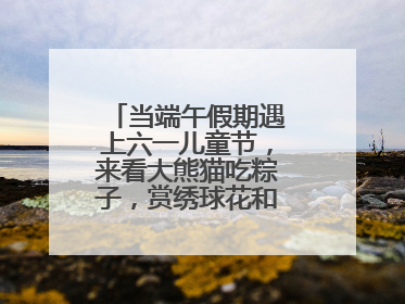 当端午假期遇上六一儿童节，来看大熊猫吃粽子，赏绣球花和马鞭草花海