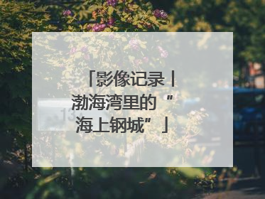 影像记录丨渤海湾里的“海上钢城”