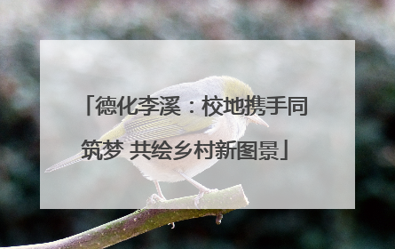 德化李溪：校地携手同筑梦 共绘乡村新图景
