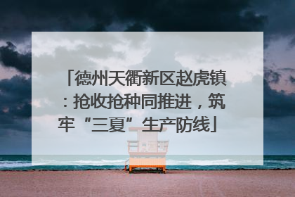 德州天衢新区赵虎镇：抢收抢种同推进，筑牢“三夏”生产防线