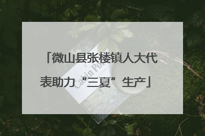 微山县张楼镇人大代表助力“三夏”生产