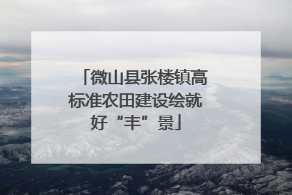 微山县张楼镇高标准农田建设绘就好“丰”景
