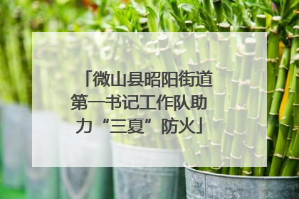 微山县昭阳街道第一书记工作队助力“三夏”防火
