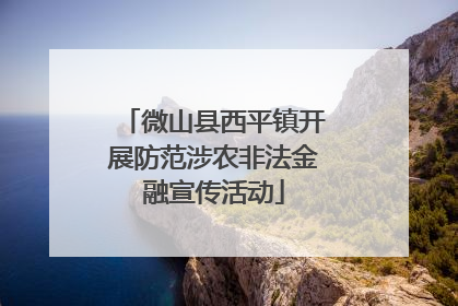 微山县西平镇开展防范涉农非法金融宣传活动