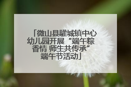 微山县驩城镇中心幼儿园开展“端午粽香情 师生共传承”端午节活动