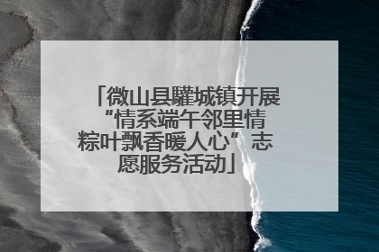 微山县驩城镇开展“情系端午邻里情 粽叶飘香暖人心”志愿服务活动