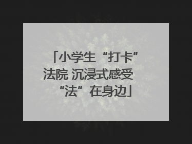 小学生“打卡”法院 沉浸式感受“法”在身边