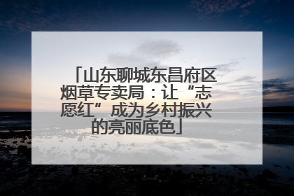 山东聊城东昌府区烟草专卖局：让“志愿红”成为乡村振兴的亮丽底色